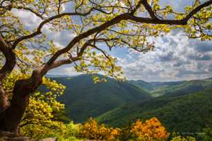 Along the Skyline Parkway-8892.jpg Along the Skyline Parkway-8892.jpg